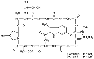 Chemical structure