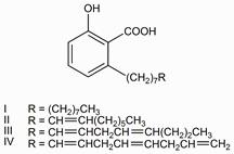 Chemical structure