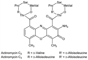 Chemical structure