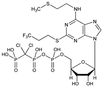 Chemical structure