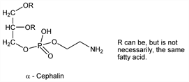 Chemical structure