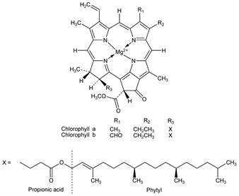 Chemical structure