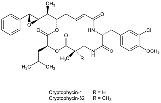 Chemical structure