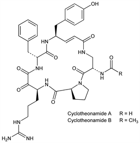 Chemical structure