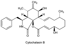 Chemical structure