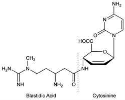 Chemical structure