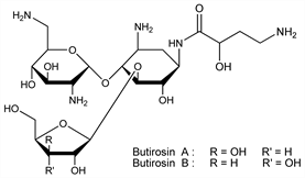 Chemical structure