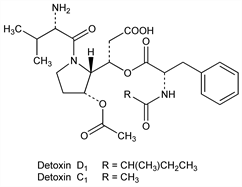 Chemical structure
