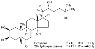 Chemical structure