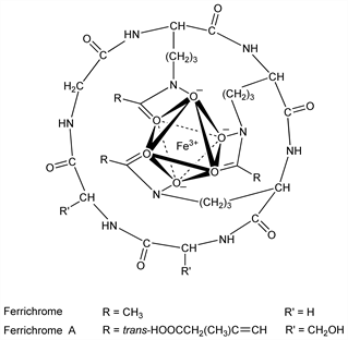 Chemical structure