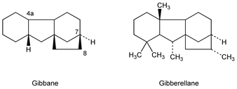 Chemical structure
