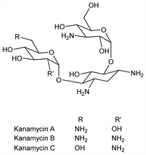 Chemical structure