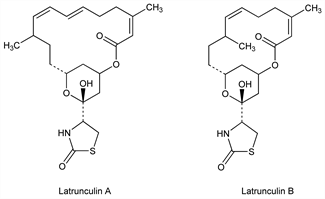 Chemical structure
