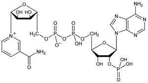 Chemical structure