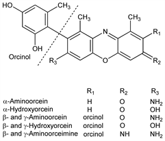 Chemical structure