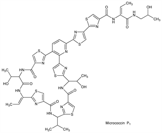 Chemical structure