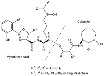 Chemical structure