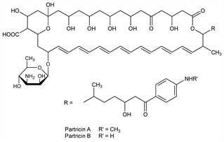Chemical structure