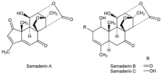 Chemical structure