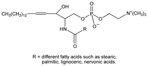 Chemical structure