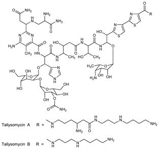 Chemical structure