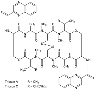 Chemical structure