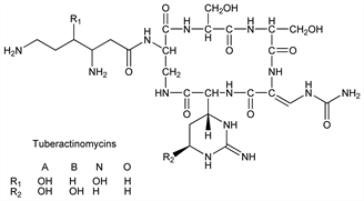 Chemical structure