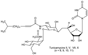 Chemical structure