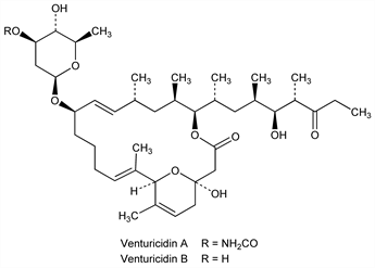 Chemical structure