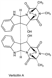Chemical structure