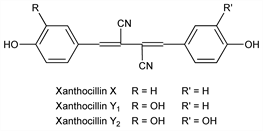 Chemical structure