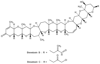 Chemical structure