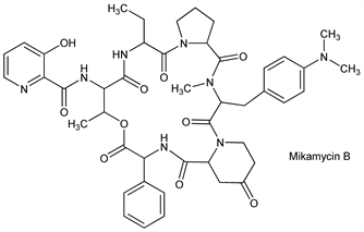 Chemical structure