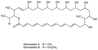 Chemical structure